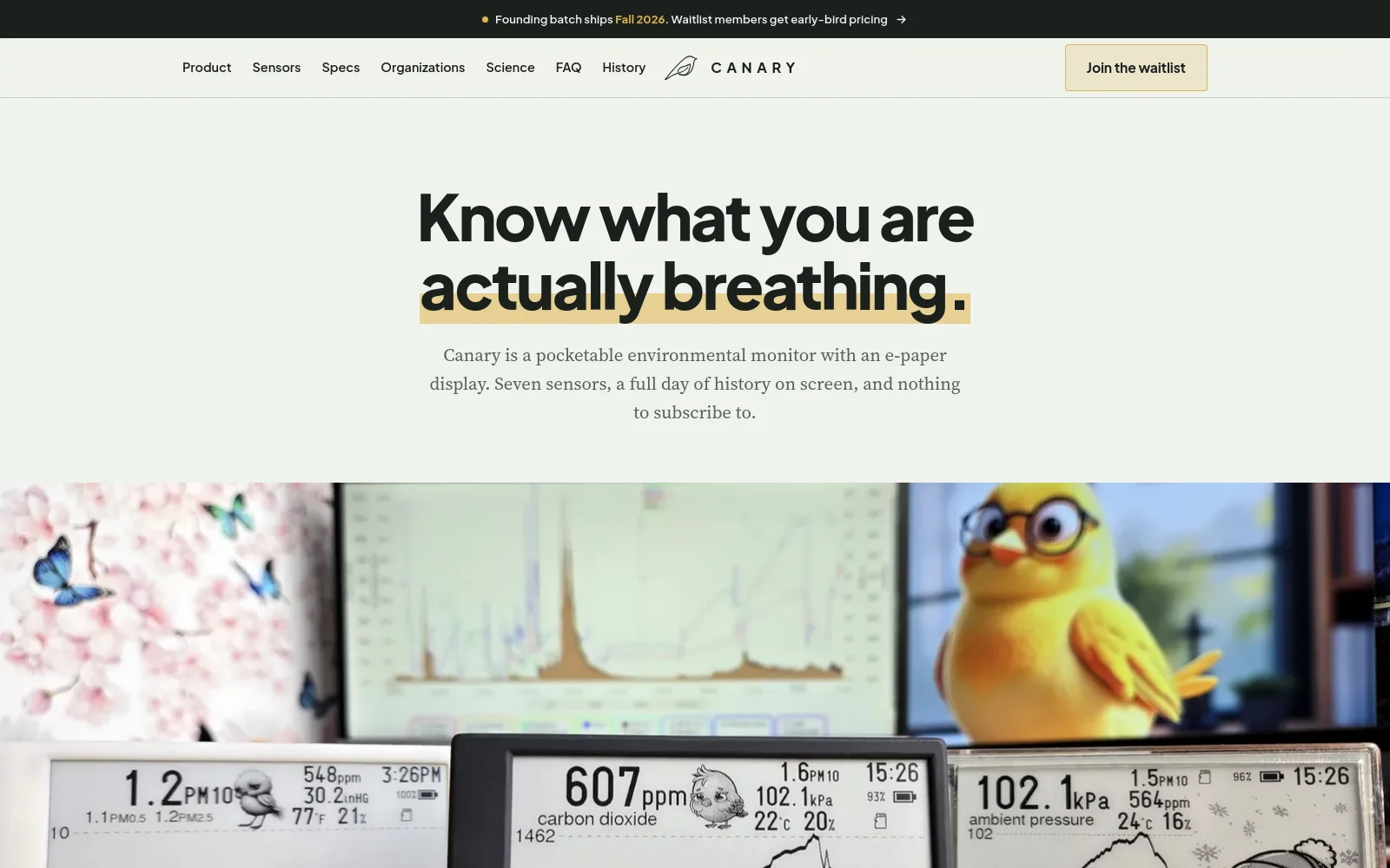 Canary website preview
